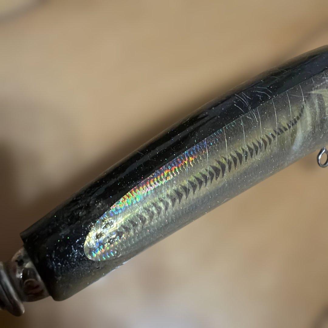 カーペンターブルーフィッシュ60-170