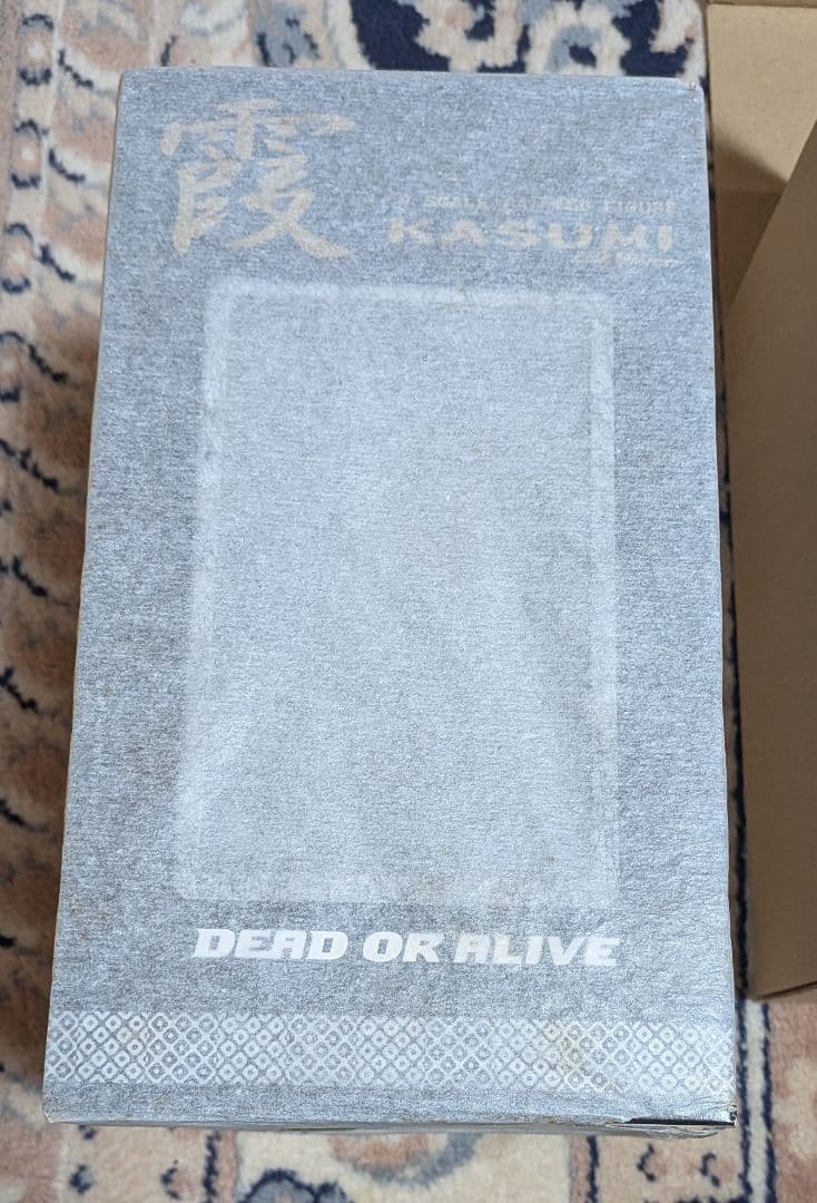 Dead or Alive DOA 霞 かすみ C2黒ver 1/6 ④