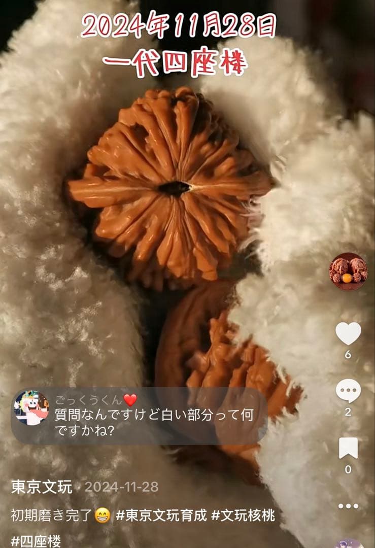 【東京文玩育成】文玩核桃 一代四座楼