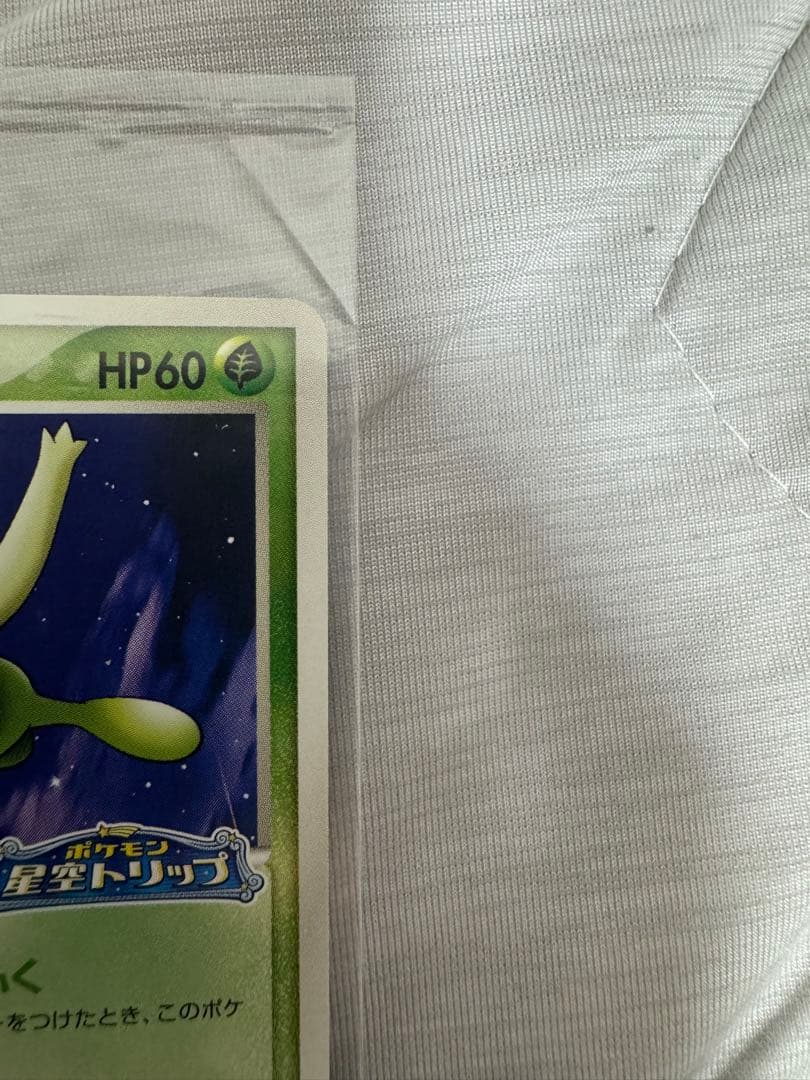 ポケモンカード　ポケパーク限定 未開封品ミズゴロウ セレビィ 2枚セット