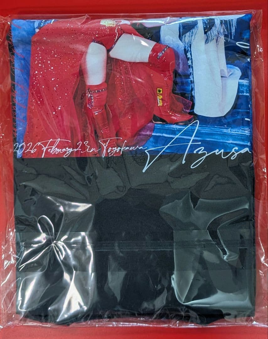 稲葉姉妹 凱旋記念 Tシャツ XL　稲葉あずさ　稲葉ともか　スターダム　JTO