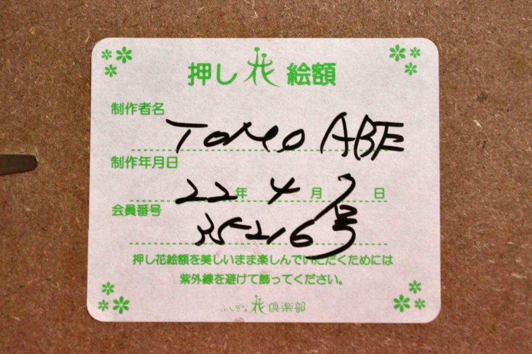 花乙女コレクション【押し花額　阿部とも　押し花・シャボン玉】