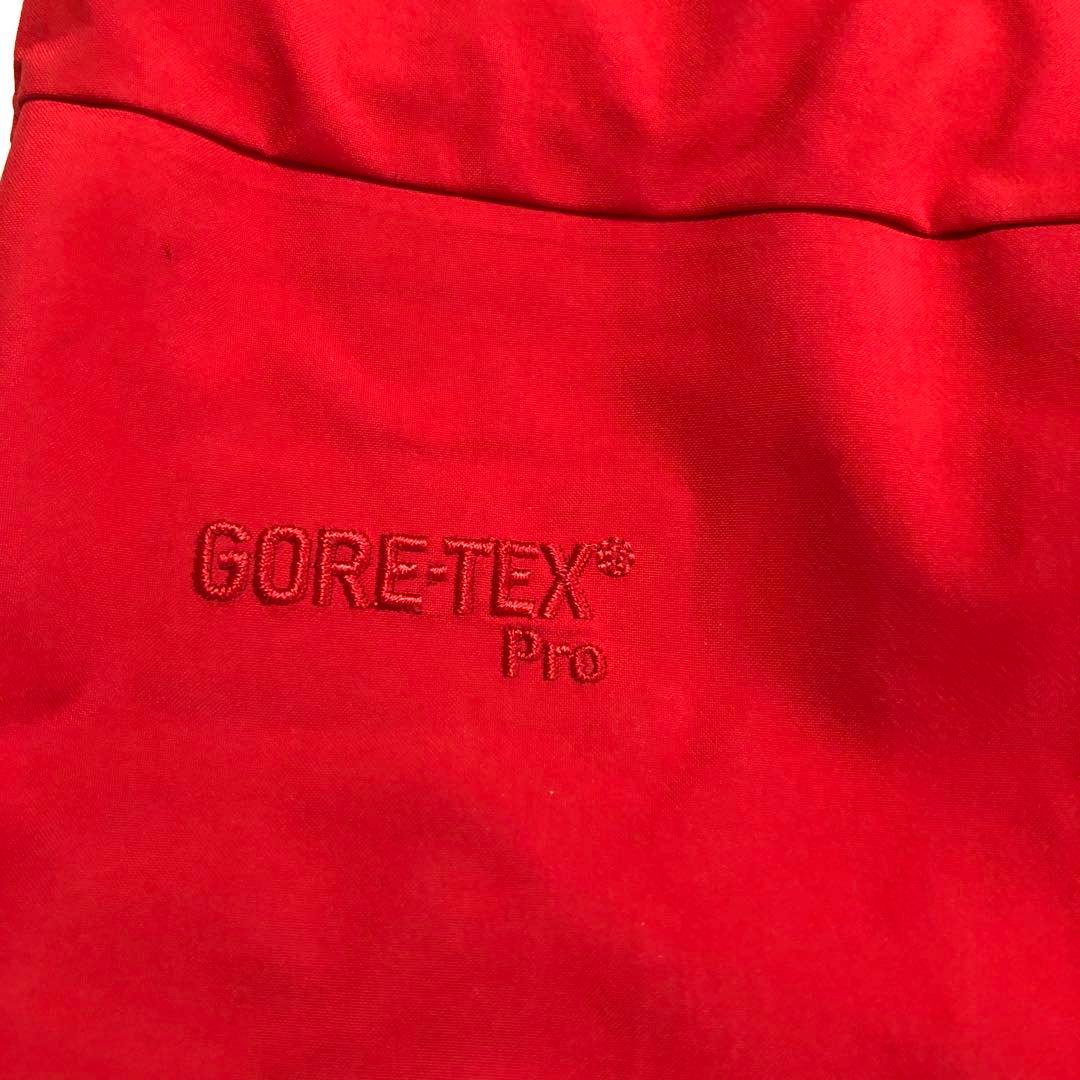 Arc’teryx ビブパンツ L GORE-TEX PRO 3L ak457並