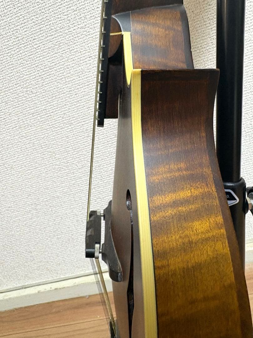 Eastman マンドリン md-315 ケース　スタンド　レザーストラップ付き