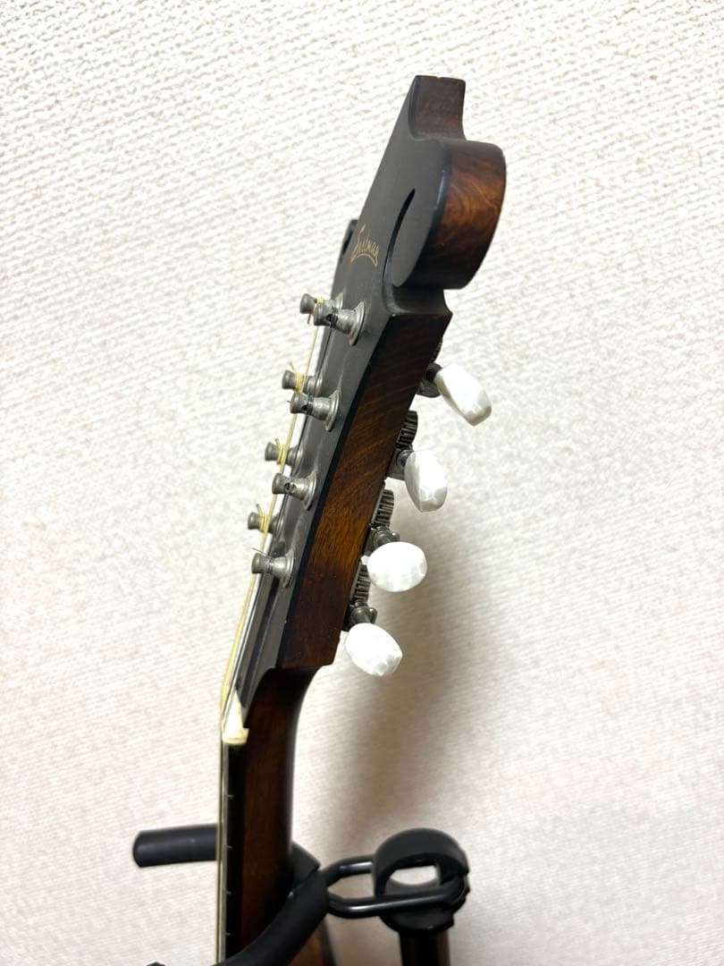 Eastman マンドリン md-315 ケース　スタンド　レザーストラップ付き