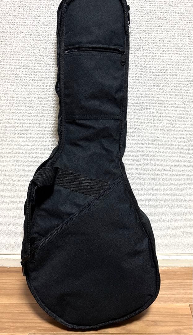 Eastman マンドリン md-315 ケース　スタンド　レザーストラップ付き