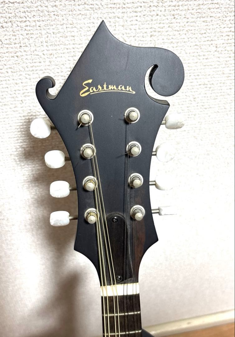 Eastman マンドリン md-315 ケース　スタンド　レザーストラップ付き