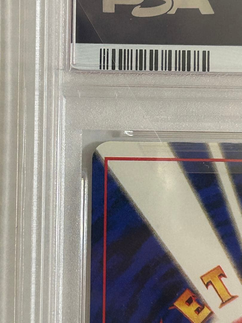 【PSA10】Japanese Neo Premium File ワニノコ 旧裏