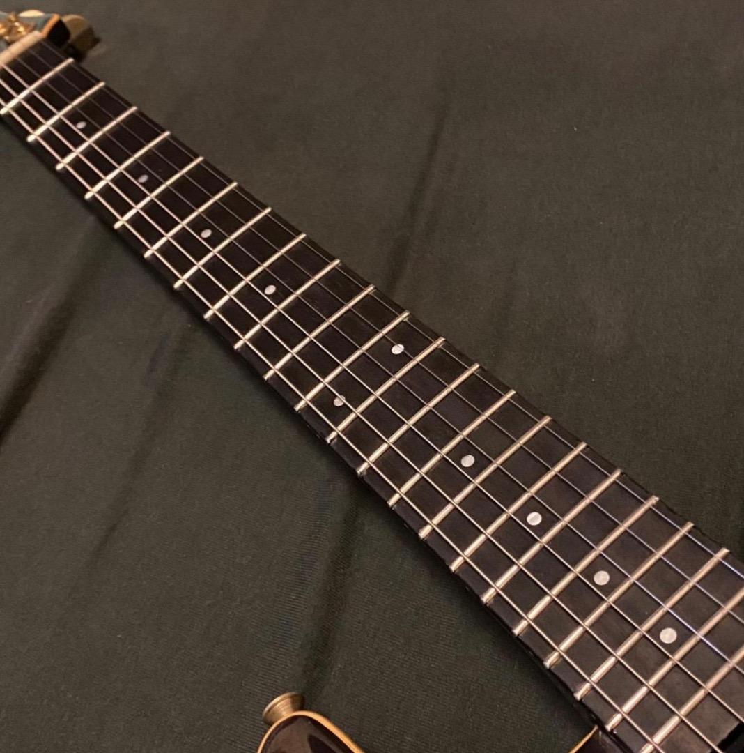 FERNANDES APG-100 USA Custom PRSタイプ エボニー