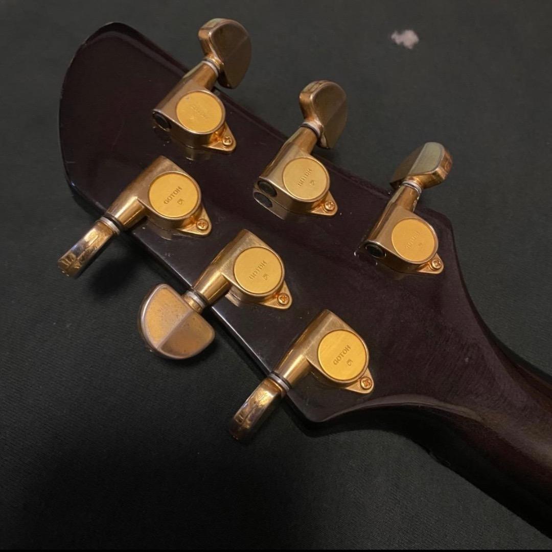 FERNANDES APG-100 USA Custom PRSタイプ エボニー