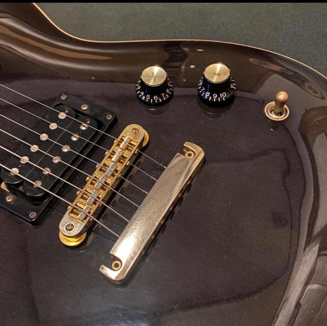 FERNANDES APG-100 USA Custom PRSタイプ エボニー