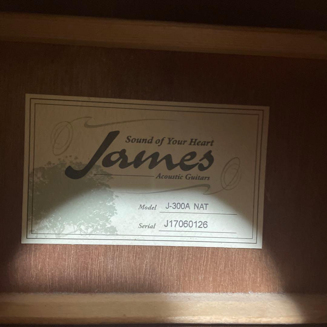 James 300A NAT アコースティックギター