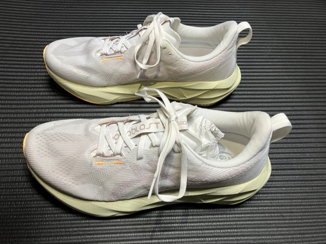 asics アシックス NOVABLAST5 ノヴァブラスト 5 28.0cm