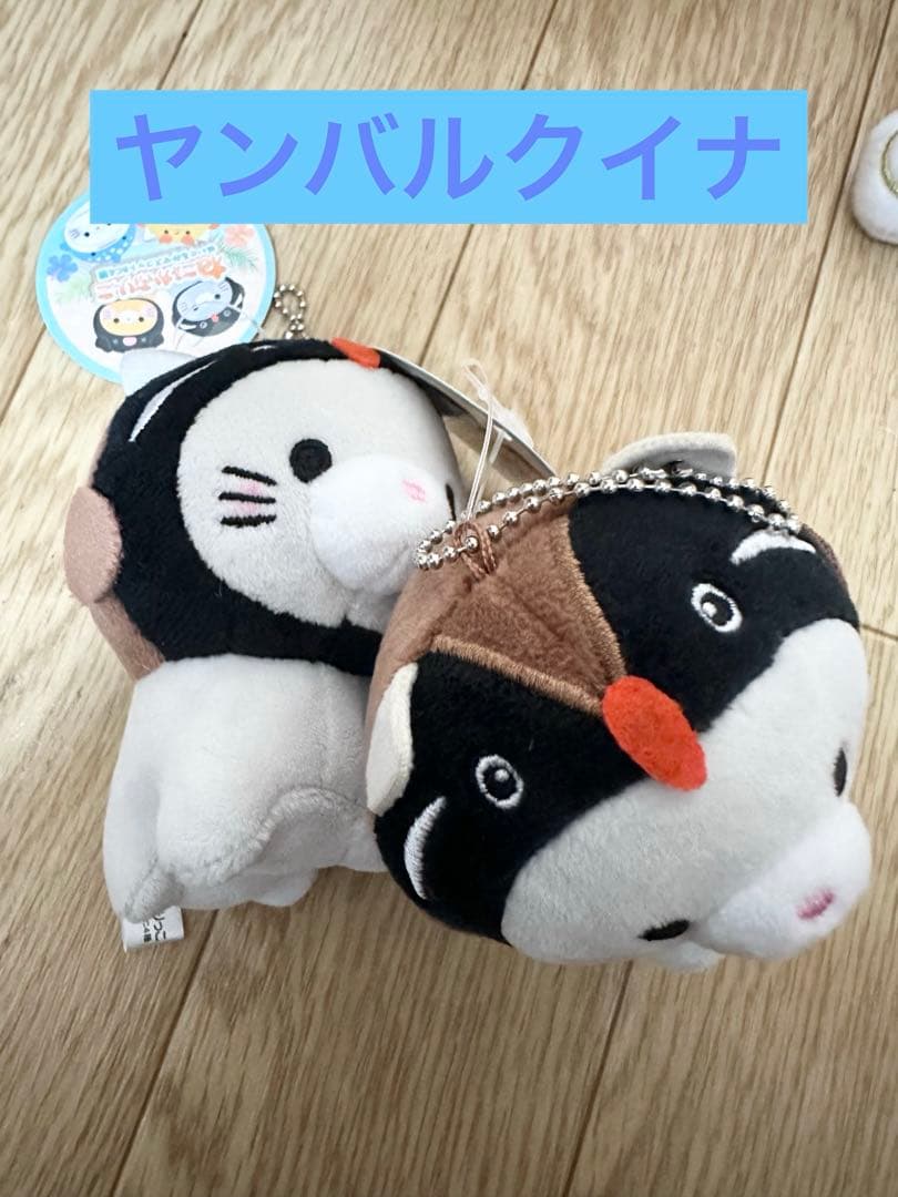 沖縄　シーサーぬいぐるみ9点セット