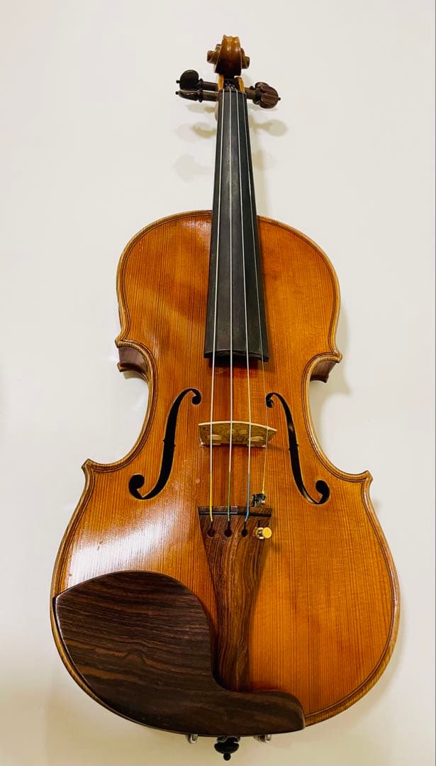 Ferenc Bela Vaci CDM-2 調整済　SUGITO弓 GEWA