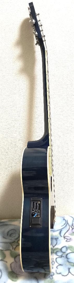 Aria　Elecord　FET-500E　エレアコ