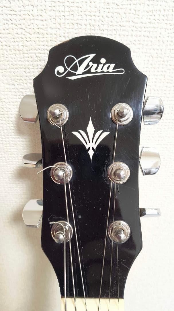 Aria　Elecord　FET-500E　エレアコ