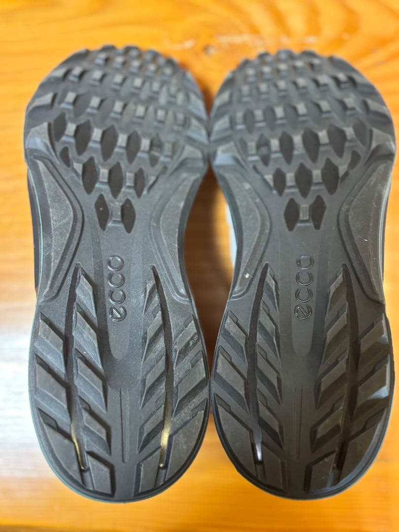 ecco ゴルフシューズ GORE-TEX