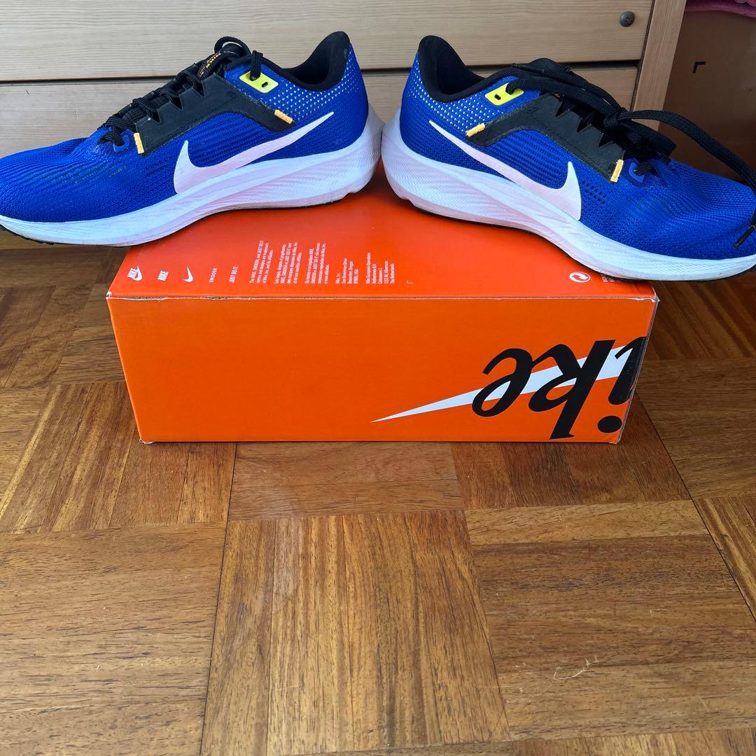 NIKE エアズームペガサス40 25.5cm