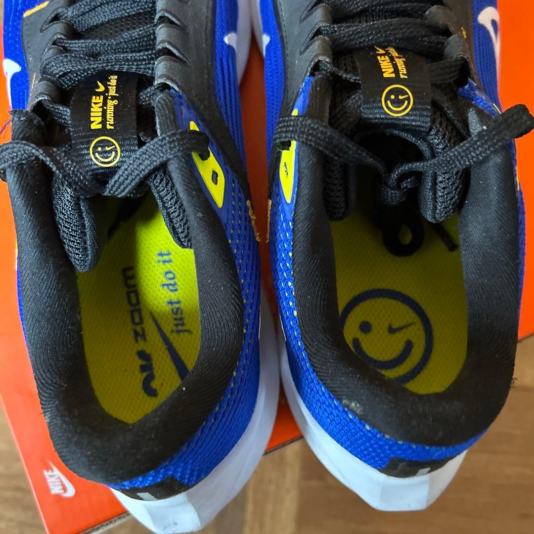 NIKE エアズームペガサス40 25.5cm