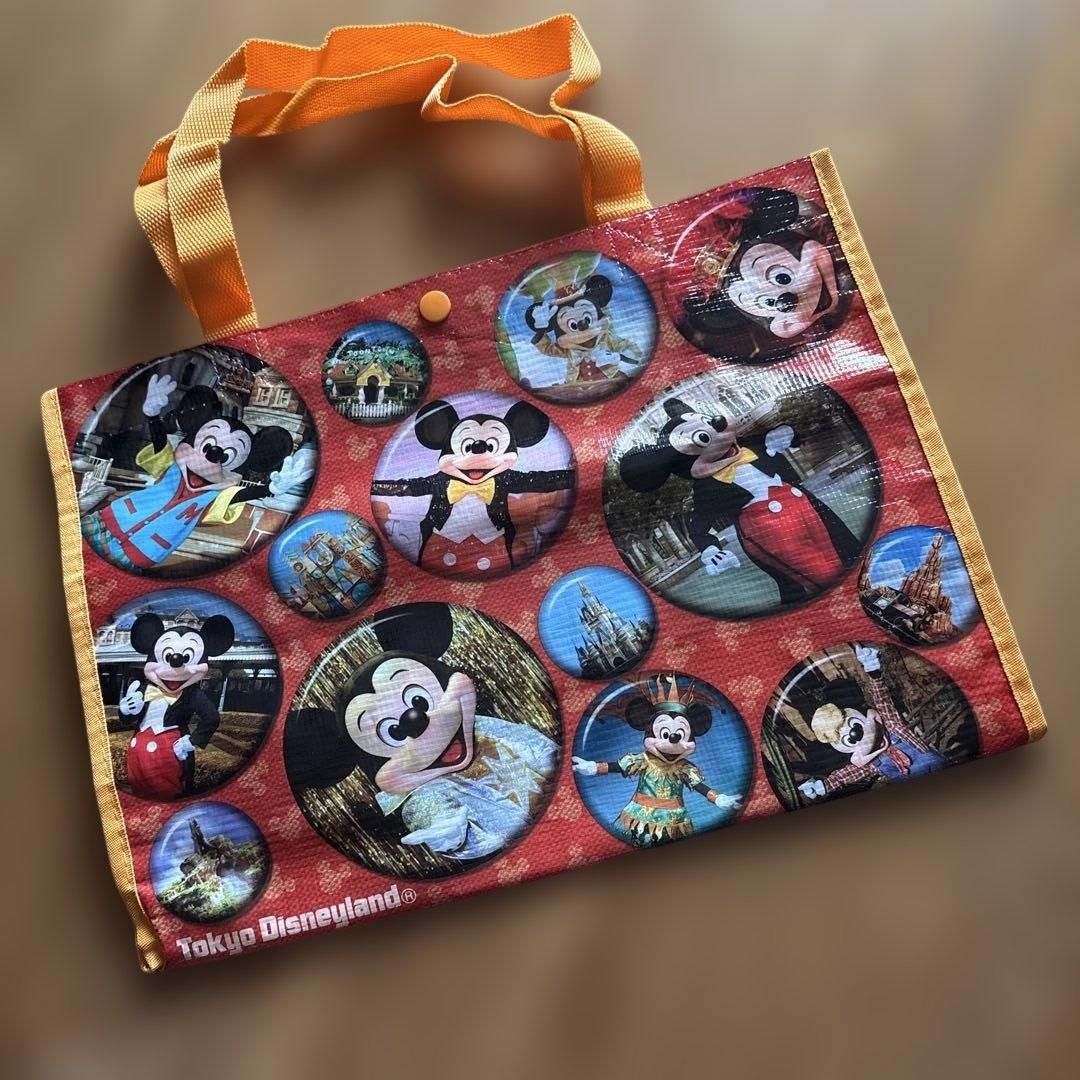 ファンダフルディズニー‼️ディズニー カレンダー セット 2005-2026年