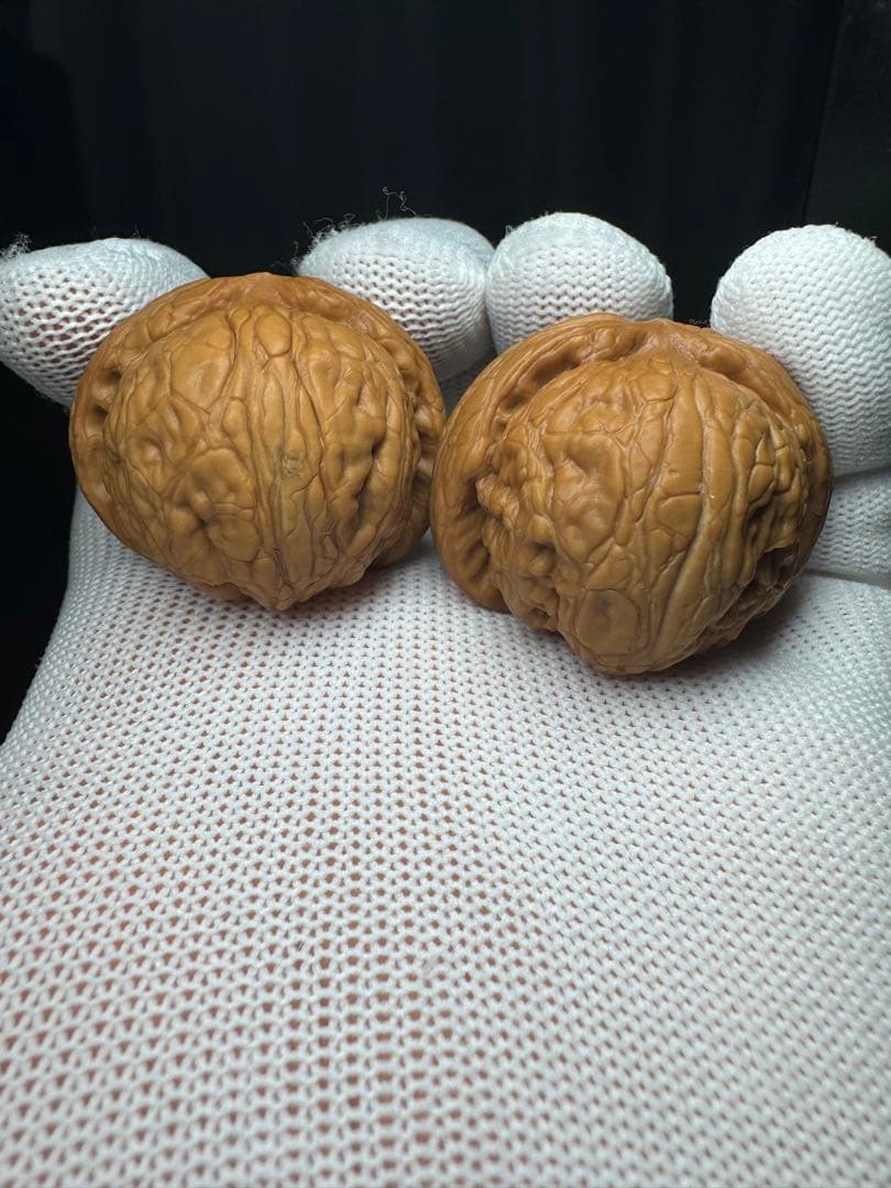 遊び胡桃 40元宝極太稜(無修正)