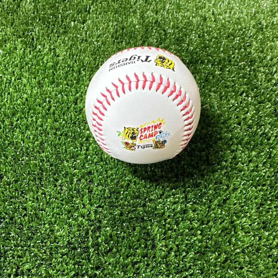 阪神タイガース 中野拓夢選手　直筆サインボール 2026 沖縄キャンプ限定球