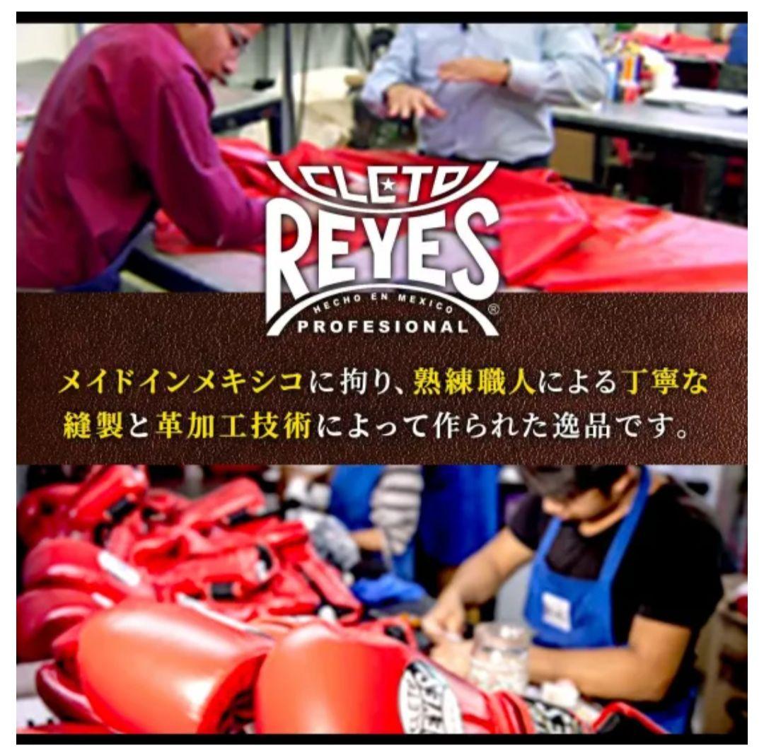 レイジェス バッグ打ち用グローブ【ゴム式 L/E352