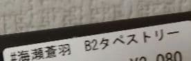 新品未開封 海瀬蒼羽 等身大タペストリー B2タペストリー