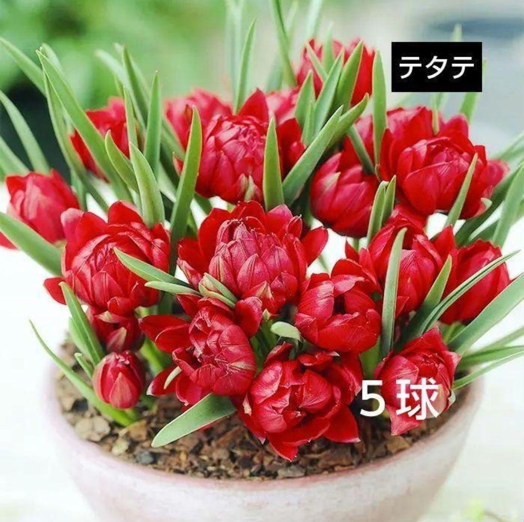 Ando様 リクエスト 6点 まとめ商品