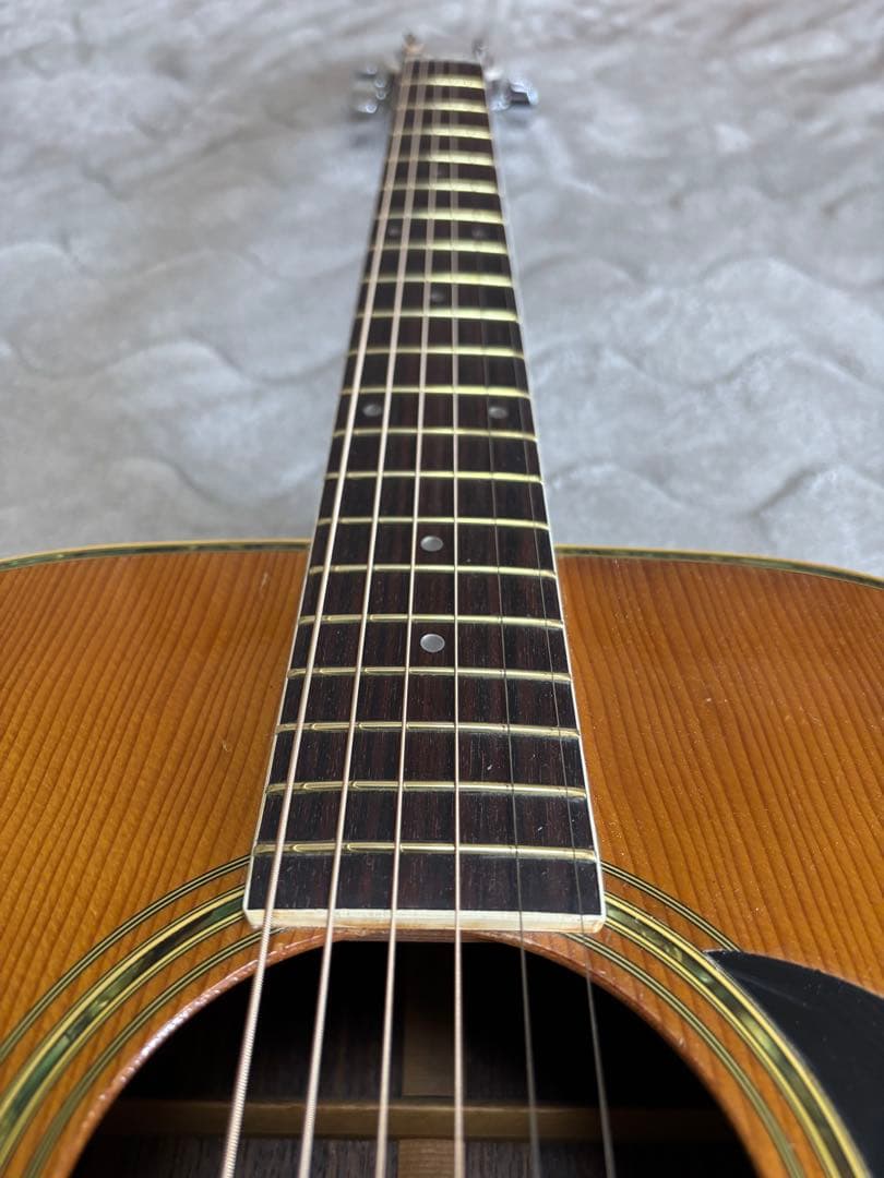Morris w25 ネックストレート出し　リフレット 　調整済み