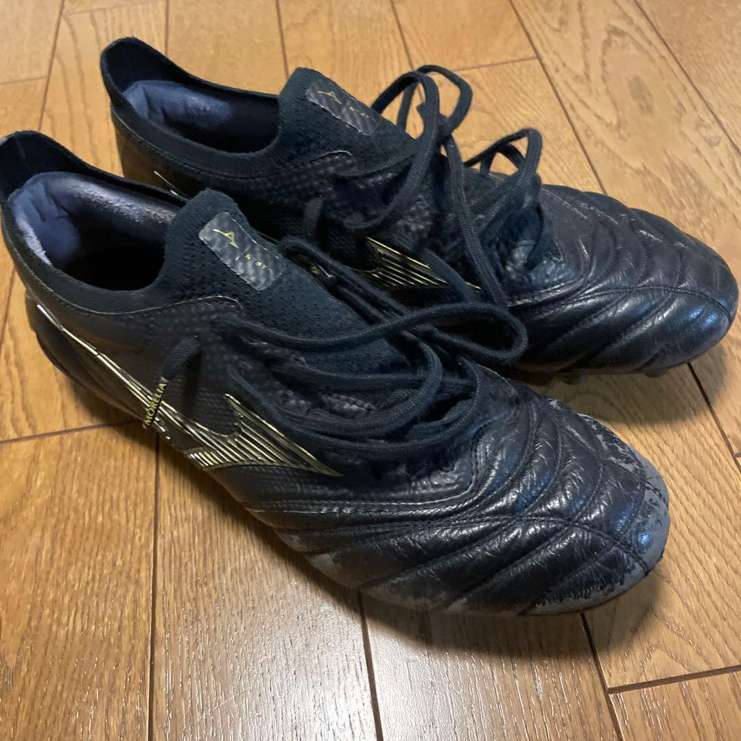 MORELIA NEO4β