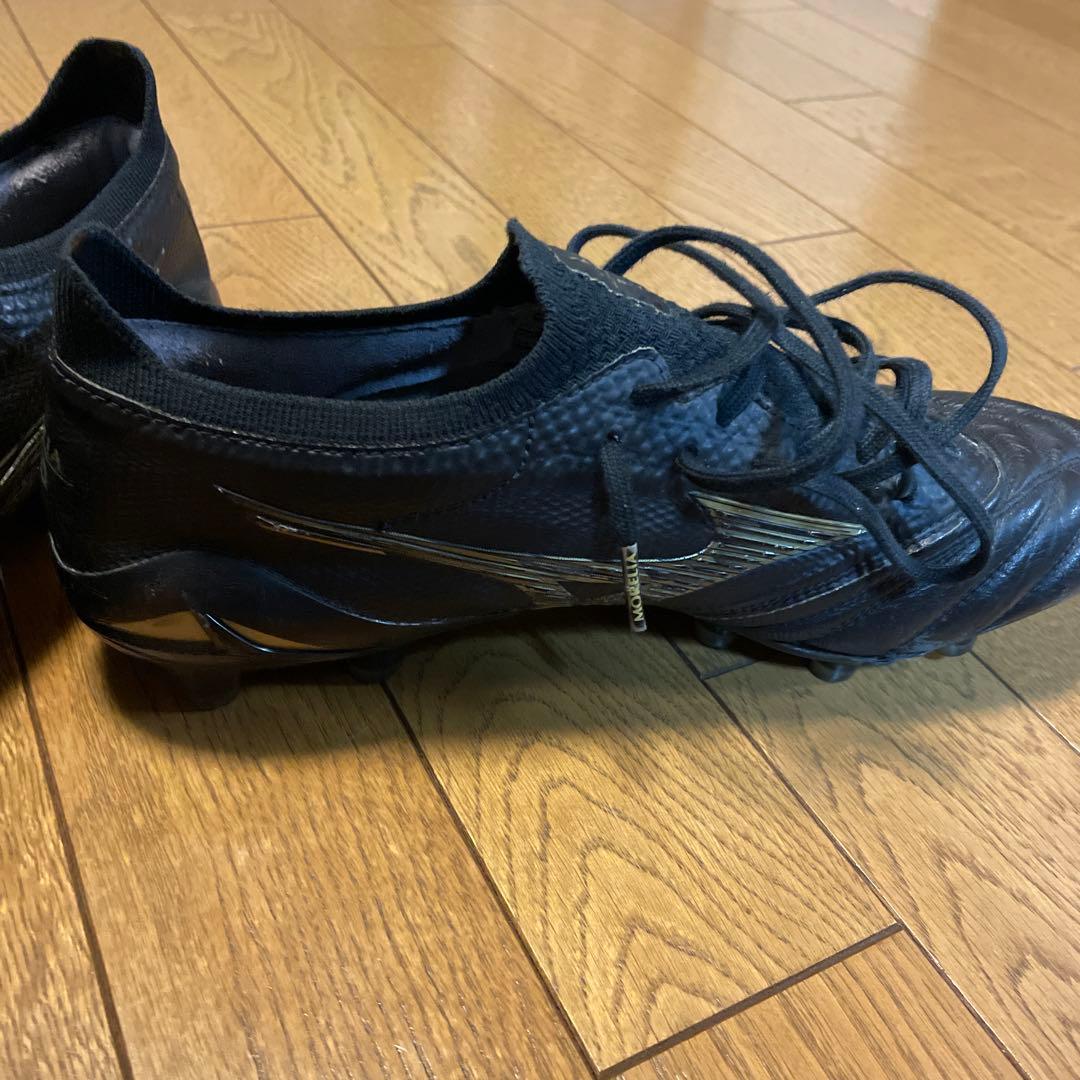 MORELIA NEO4β