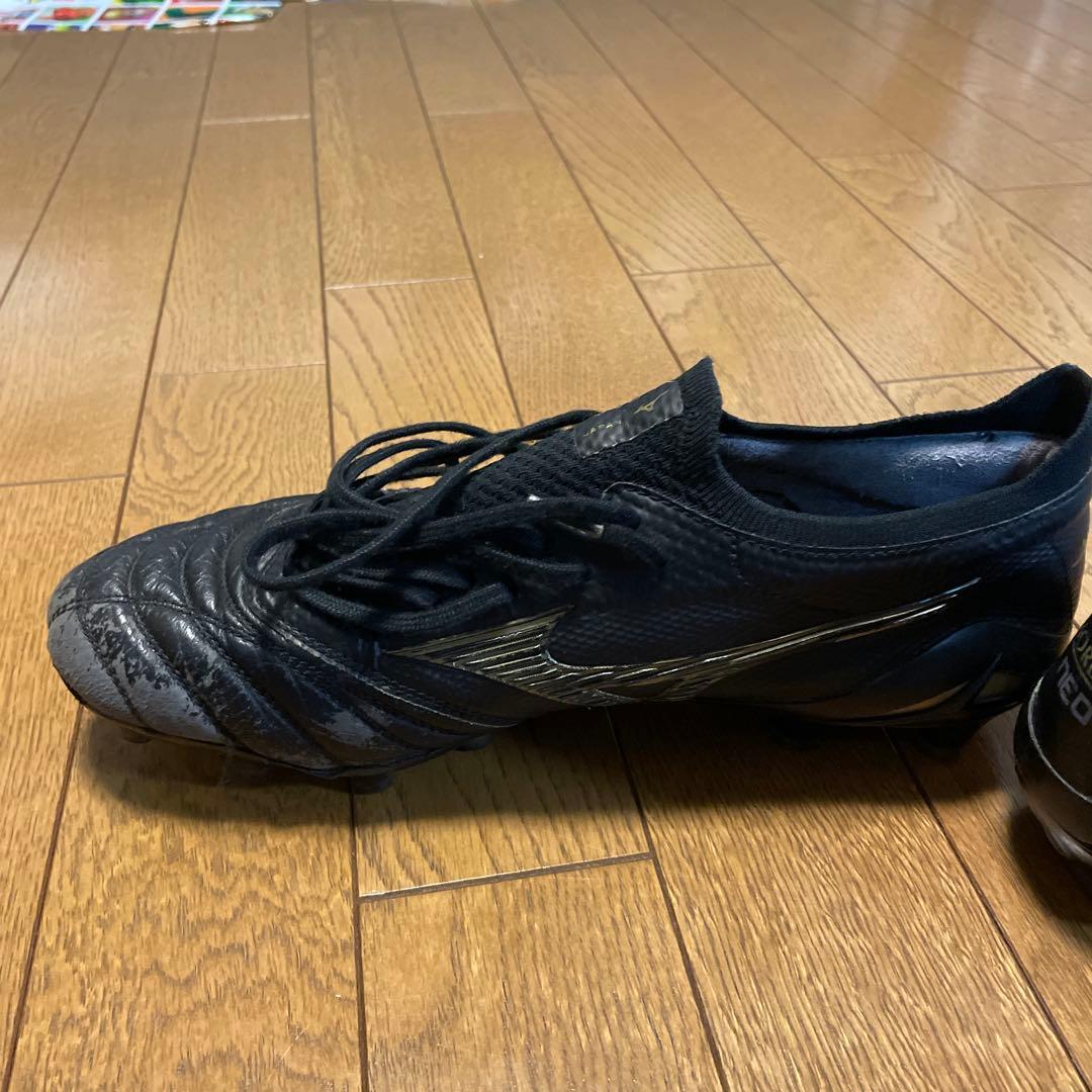 MORELIA NEO4β