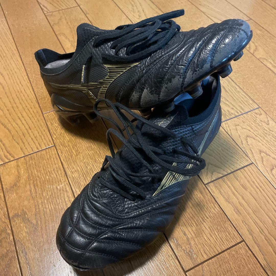 MORELIA NEO4β