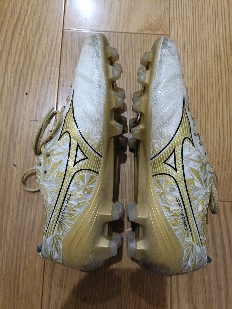 ミズノアルファ PRO 24.5cm