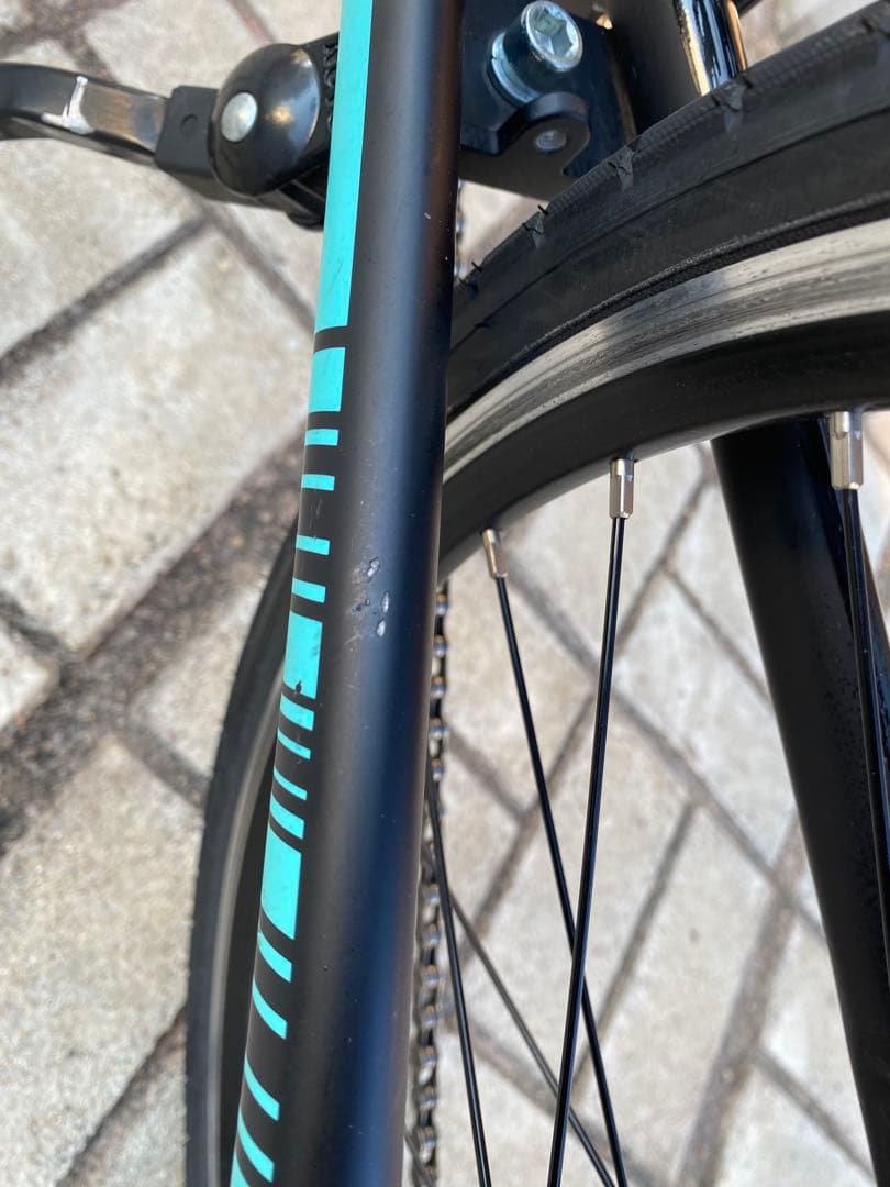 shoooo　Bianchi（ビアンキ） 2018年PISA DROP