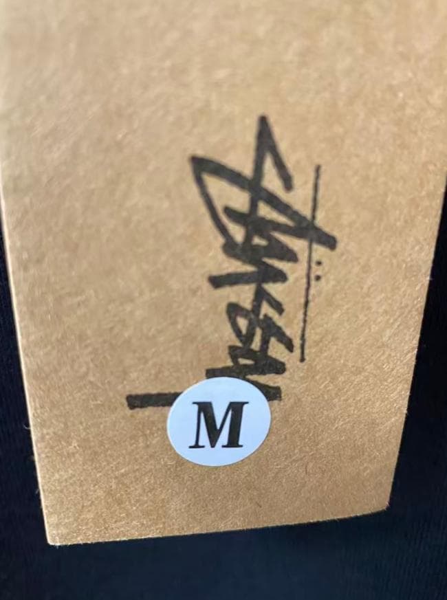 STUSSY ステューシー ワールドツアー バックプリント パーカー Mサイズ