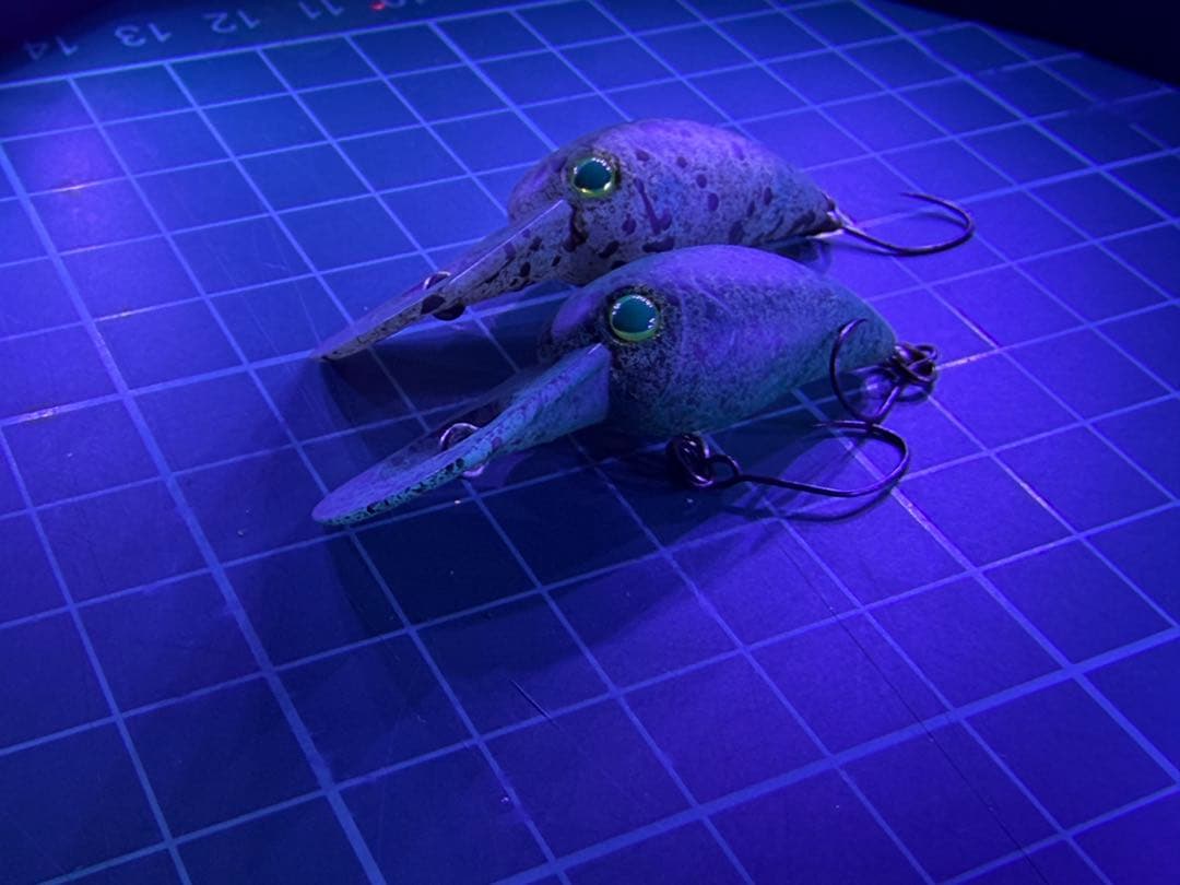 ティモン　パニクラDR オオツカオリカラ　ブラウンフライ　ウィードシュリンプ