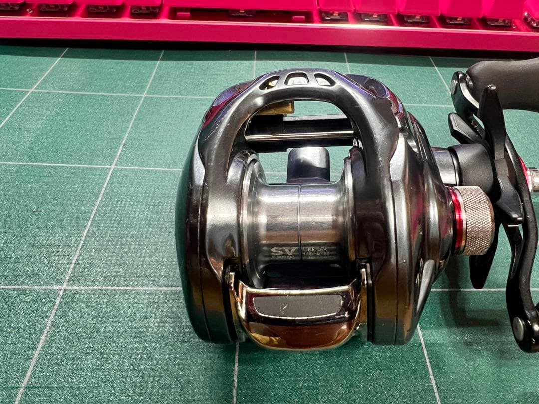 ダイワ(DAIWA) タトゥーラ SV TW (右ハンドル)