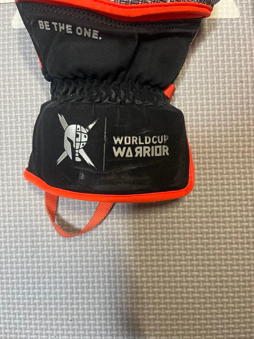 REUSCH WARRIOR アルペンスキー　グローブ　8.0