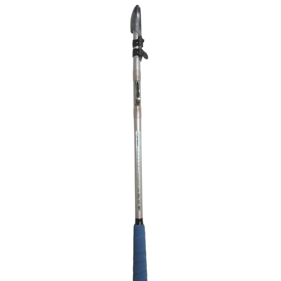 Daiwa HZ IL 潮流 T 50号310 釣り竿 つり 竿