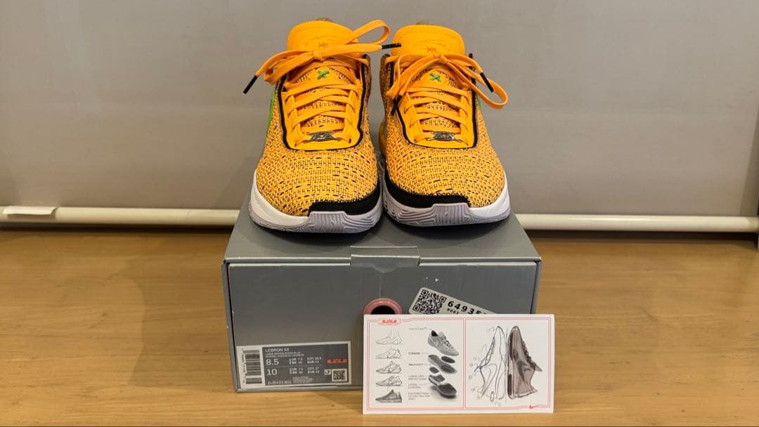 ナイキ レブロン20 グローバルラスト26.5cm NIKE Lebron20