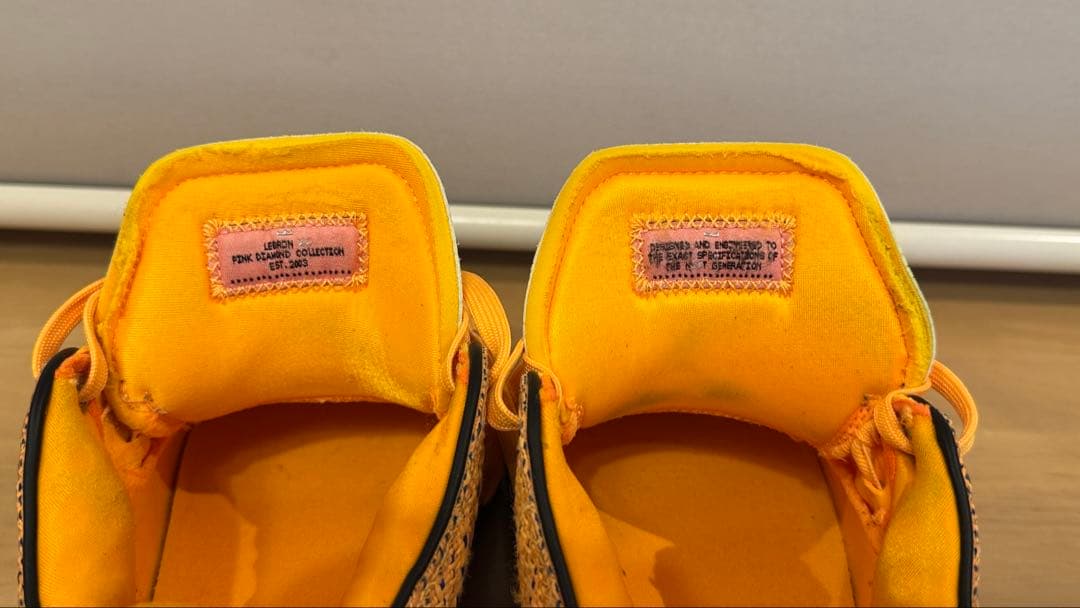 ナイキ レブロン20 グローバルラスト26.5cm NIKE Lebron20