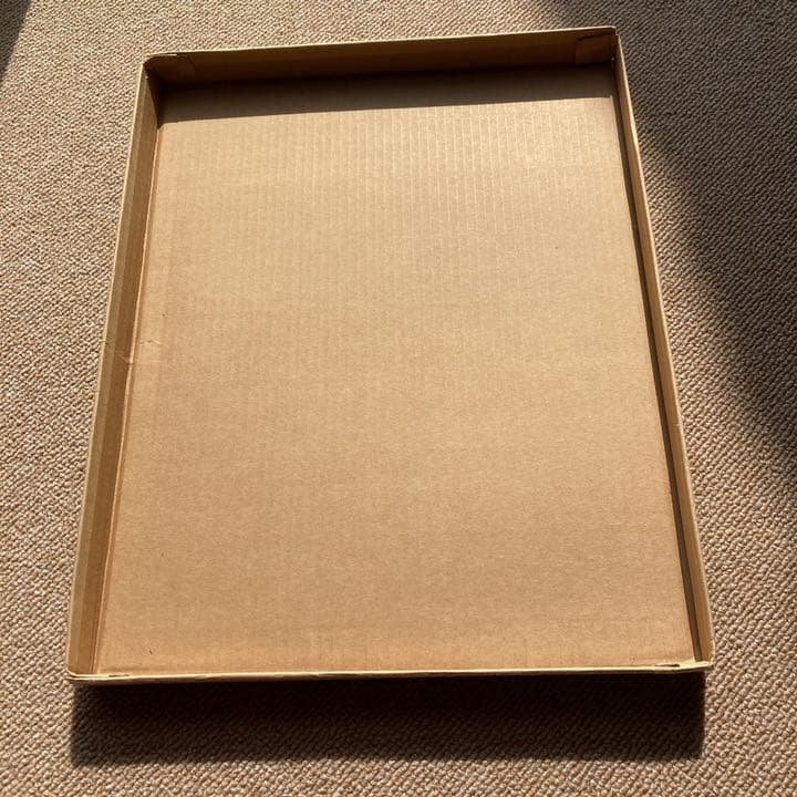新品　アクリル画です　画家の豊島輝彦先生の、作品です　もうお亡くなりになりました
