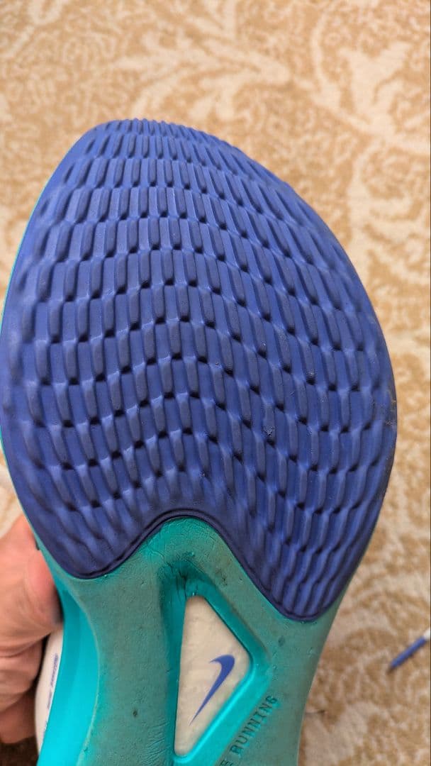 Nike ズームフライ5 【27.0cm】希少カラー