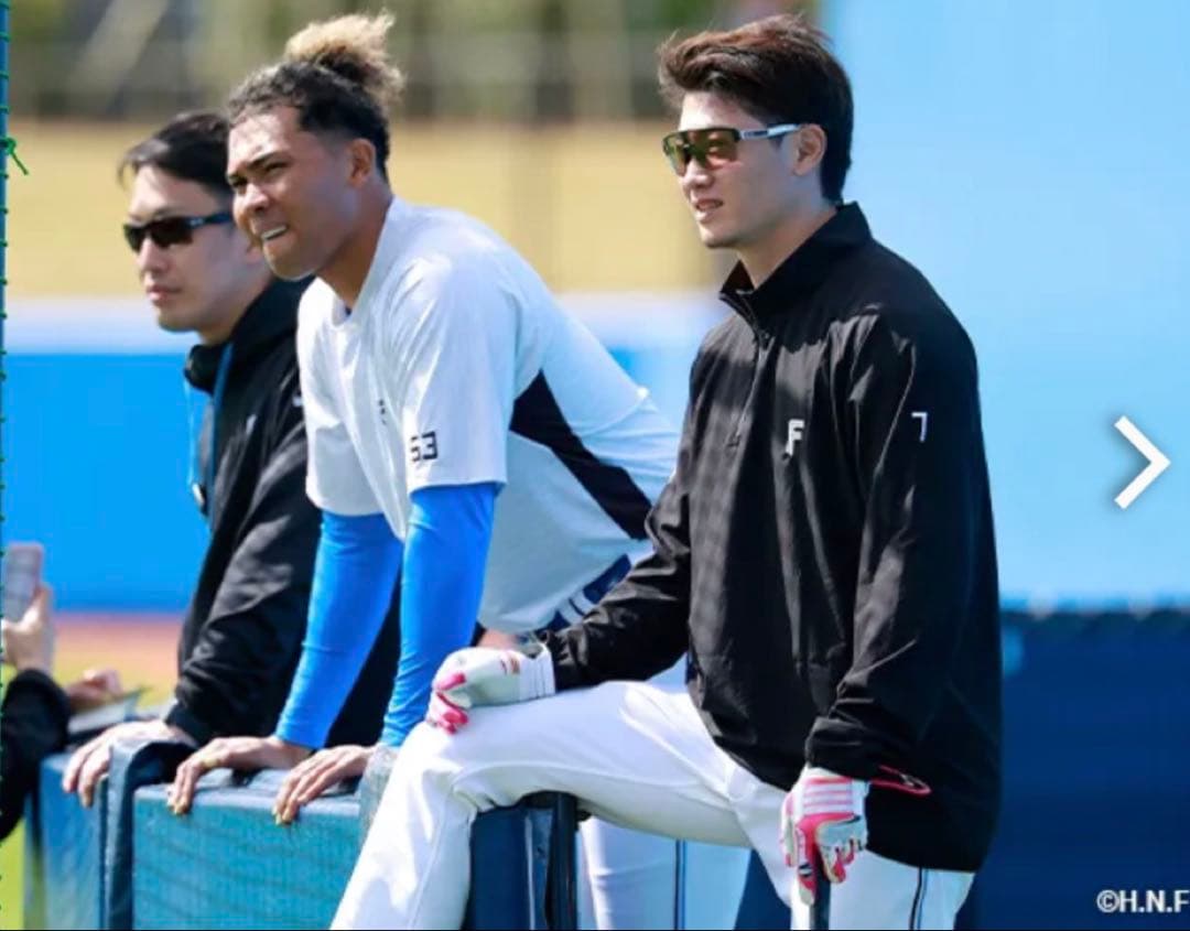 日本ハムファイターズ西川遥輝選手使用バッティング手袋