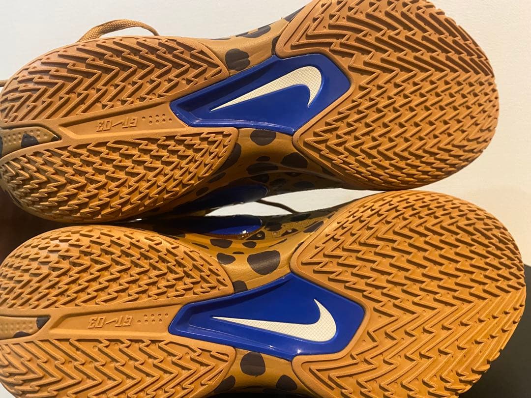 シューズ(男性用) Nike Air Zoom GT Cut 3 /27.5