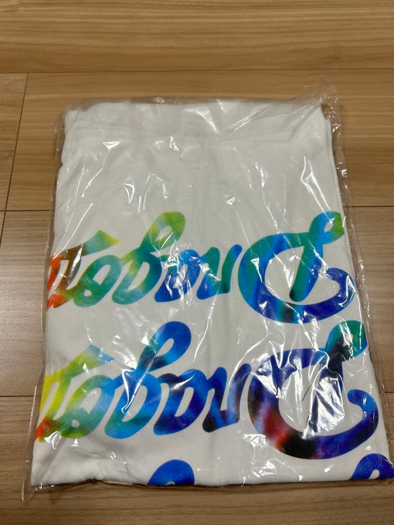 中日ドラゴンズ 英智 新品未開封Sサイズ