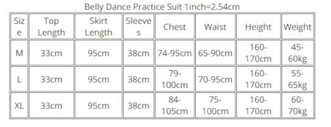 ベリーダンストレーニングステージ用のシックなダンス衣装ロングスカート縫製保護